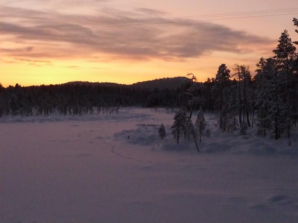 Lemmenjoen Lumo - Nature Experience & Accommodation Lemmenjoki エクステリア 写真